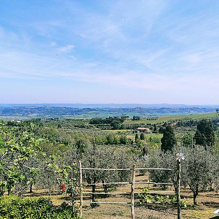 La Casina Di Colle - Appartamento Rustico Sulle Colline Di Pisa Casciana Terme Luaran gambar